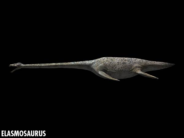 elasmosaurus