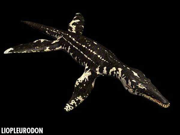 liopleurodon