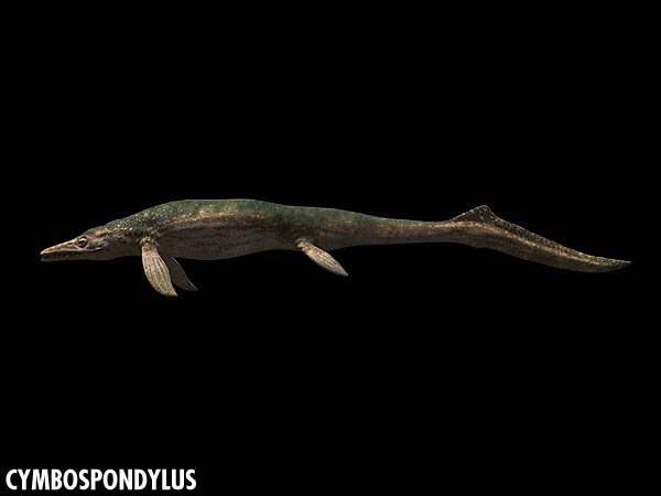 cymbospondylus