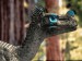ornitholestes.jpg